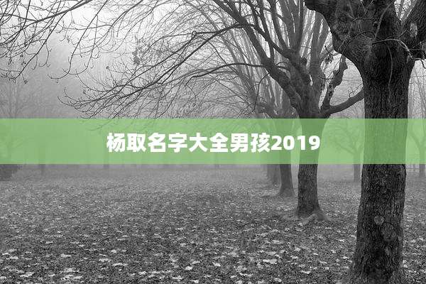 杨取名字大全男孩2019