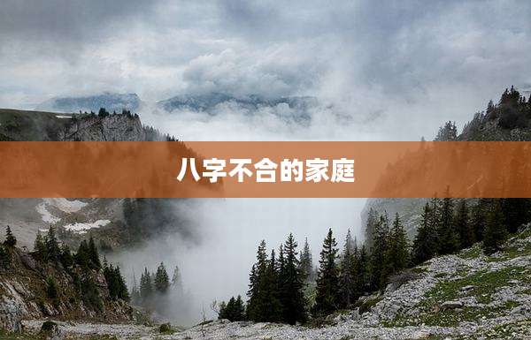 八字不合的家庭