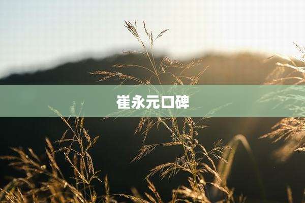 崔永元口碑