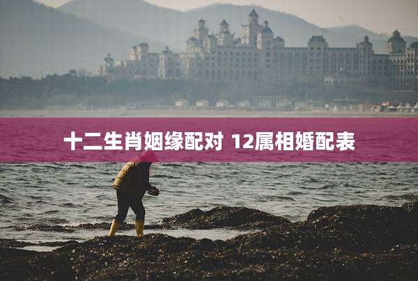 十二生肖姻缘配对 12属相婚配表