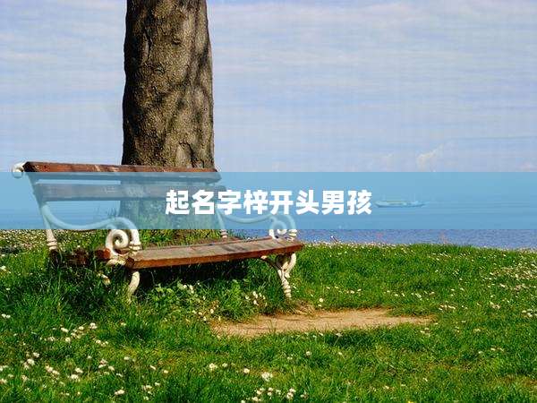 起名字梓开头男孩