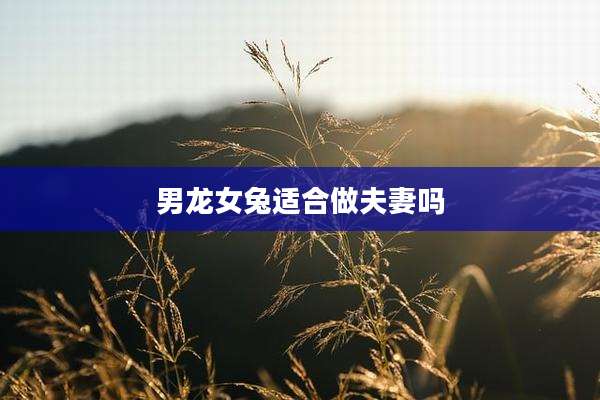 男龙女兔适合做夫妻吗