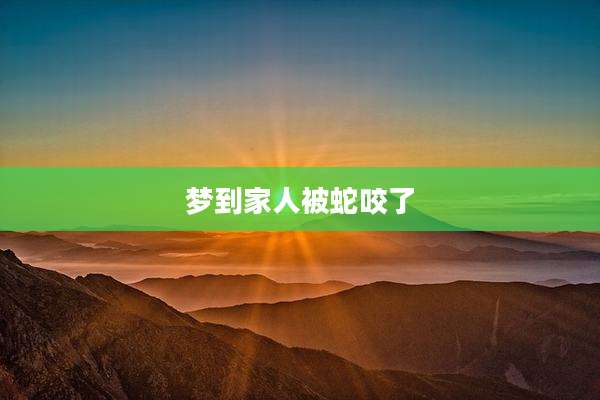 梦到家人被蛇咬了