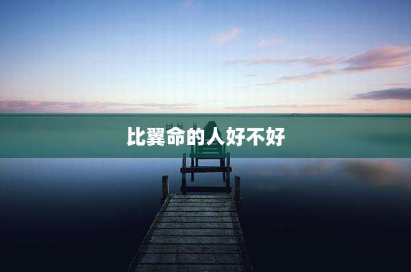 比翼命的人好不好