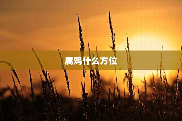 属鸡什么方位