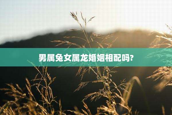 男属兔女属龙婚姻相配吗?