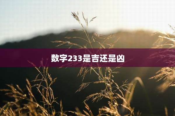 数字233是吉还是凶