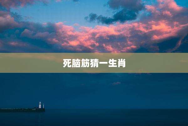 死脑筋猜一生肖