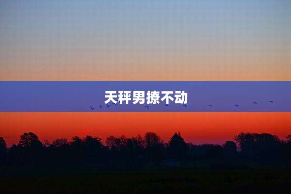 天秤男撩不动