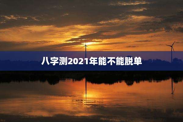 八字测2021年能不能脱单