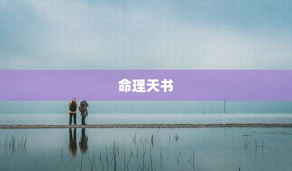 命理天书
