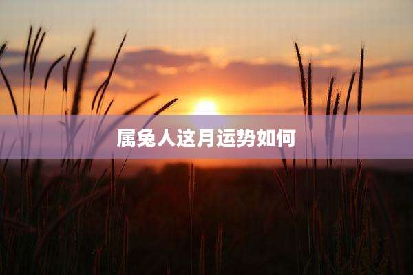 属兔人这月运势如何