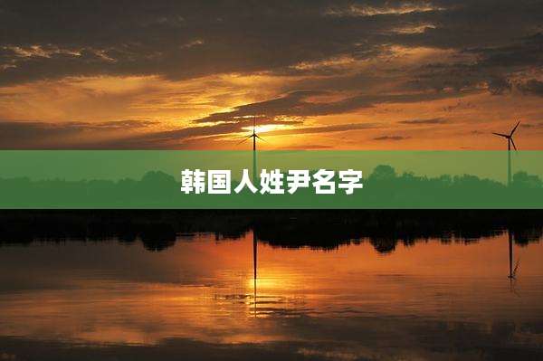 韩国人姓尹名字