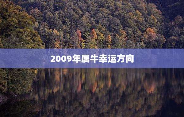 2009年属牛幸运方向