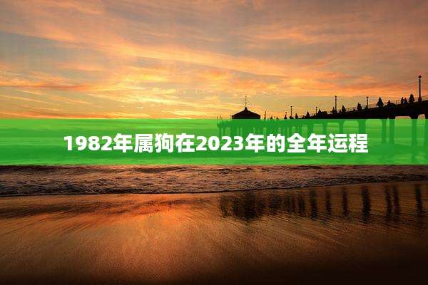 1982年属狗在2023年的全年运程