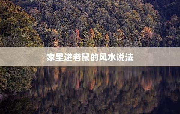 家里进老鼠的风水说法