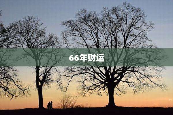 66年财运