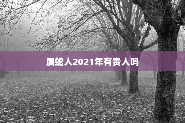 属蛇人2021年有贵人吗