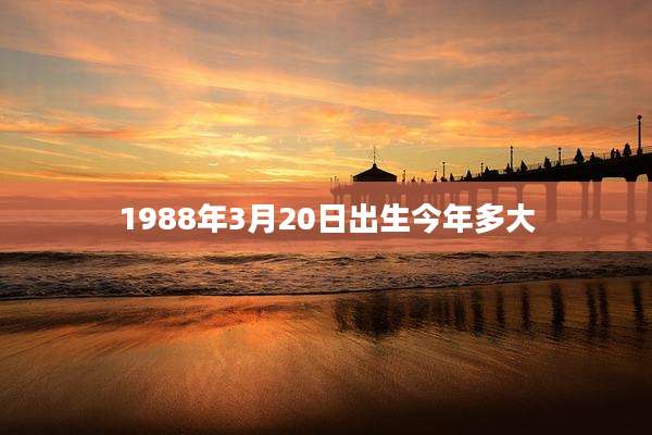 1988年3月20日出生今年多大