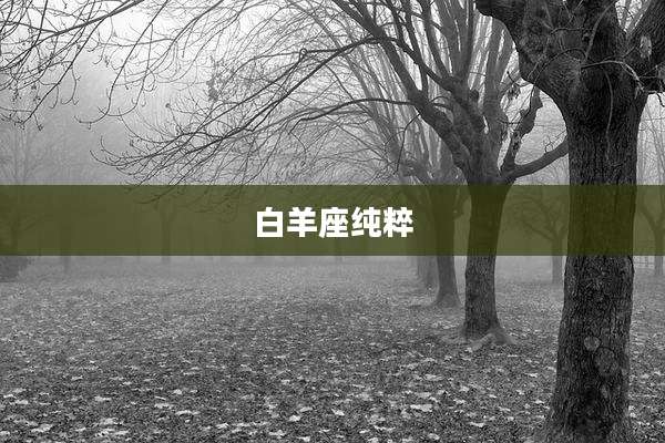白羊座纯粹