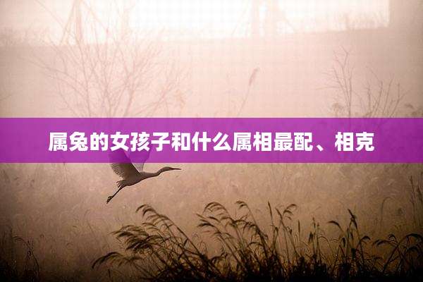 属兔的女孩子和什么属相最配、相克
