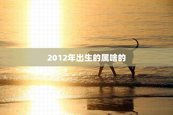 2012年出生的属啥的