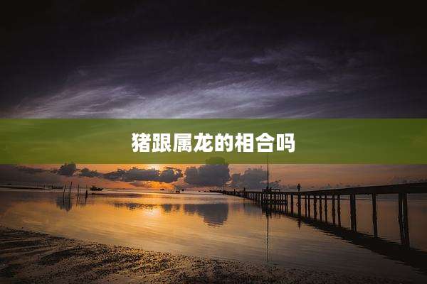 猪跟属龙的相合吗