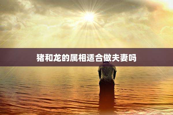 猪和龙的属相适合做夫妻吗
