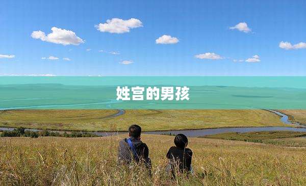 姓宫的男孩