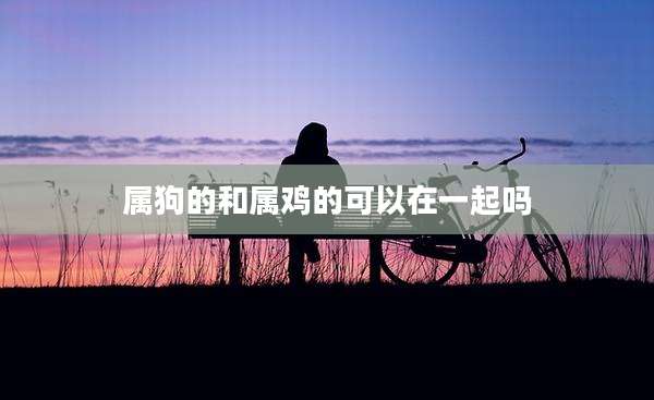 属狗的和属鸡的可以在一起吗