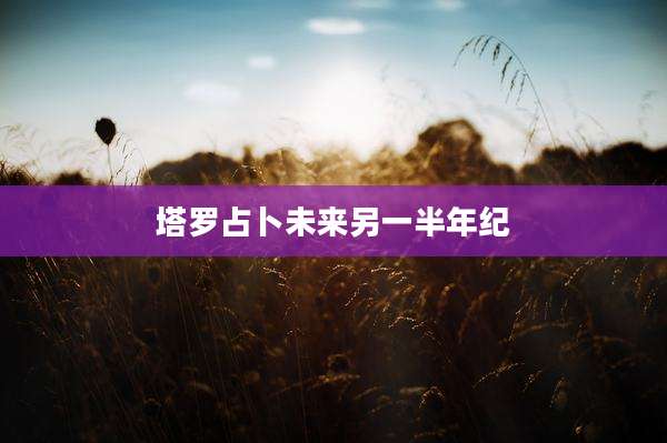 塔罗占卜未来另一半年纪