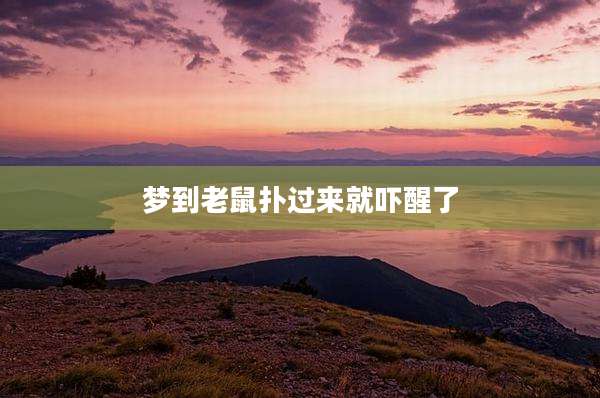 梦到老鼠扑过来就吓醒了