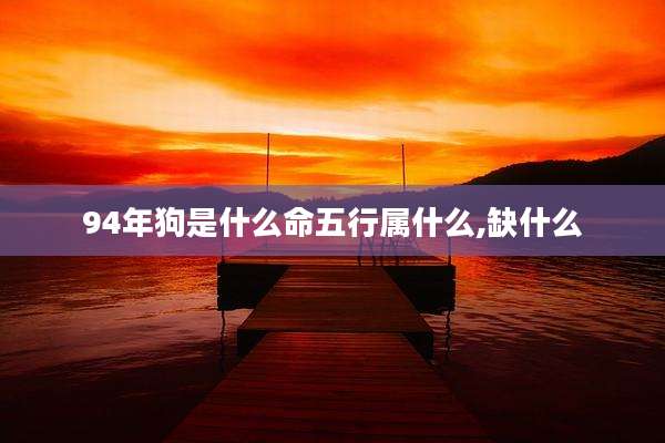 94年狗是什么命五行属什么,缺什么