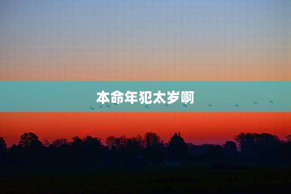 本命年犯太岁啊