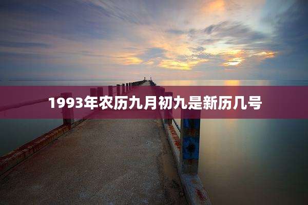 1993年农历九月初九是新历几号