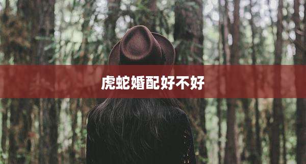 虎蛇婚配好不好