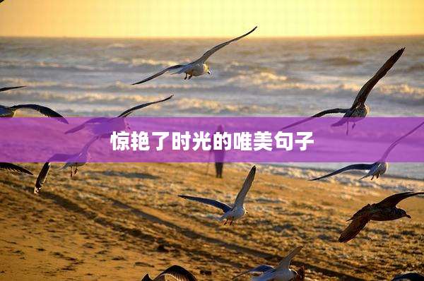 惊艳了时光的唯美句子