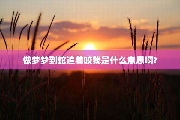 做梦梦到蛇追着咬我是什么意思啊?