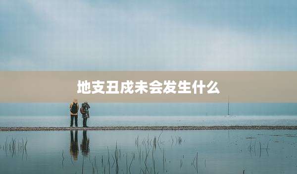地支丑戍未会发生什么