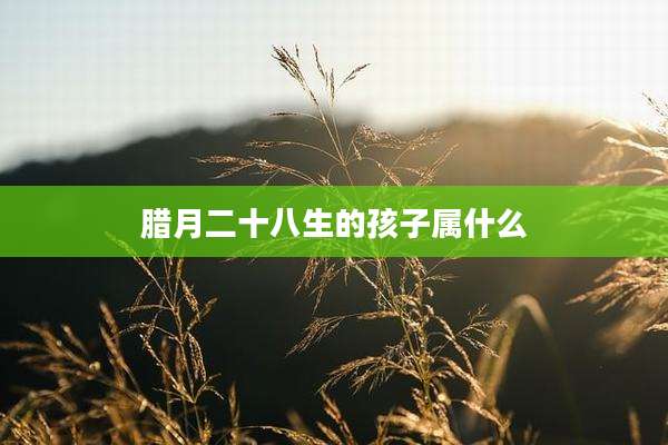 腊月二十八生的孩子属什么