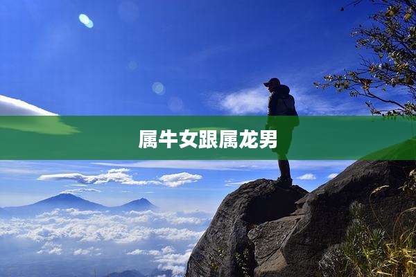 属牛女跟属龙男