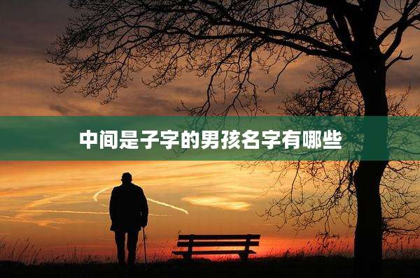 中间是子字的男孩名字有哪些