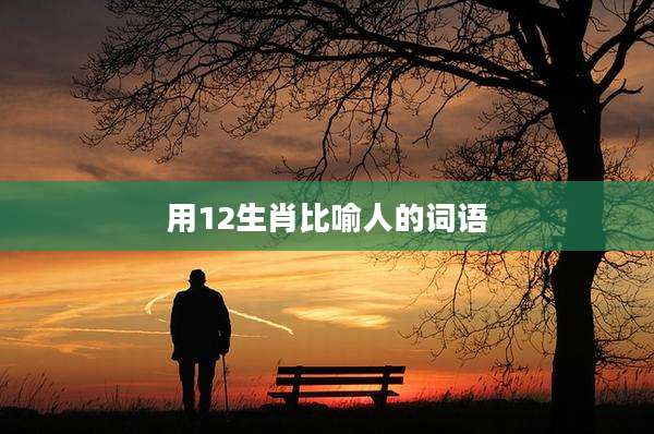 用12生肖比喻人的词语