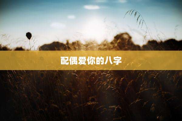 配偶爱你的八字