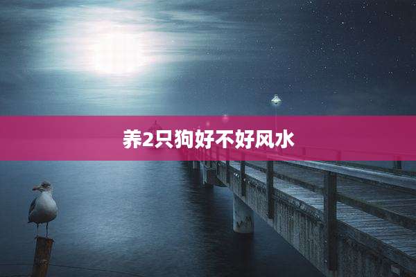 养2只狗好不好风水