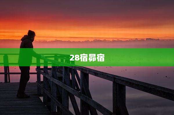 28宿昴宿