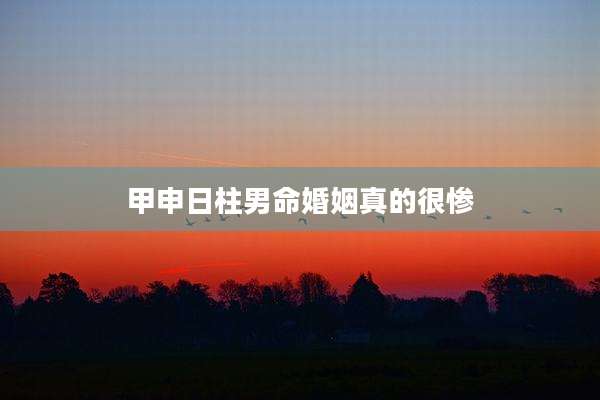 甲申日柱男命婚姻真的很惨