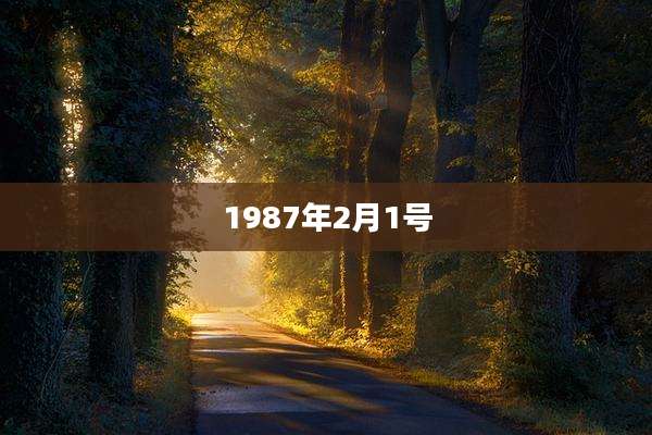 1987年2月1号
