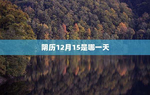 阴历12月15是哪一天
