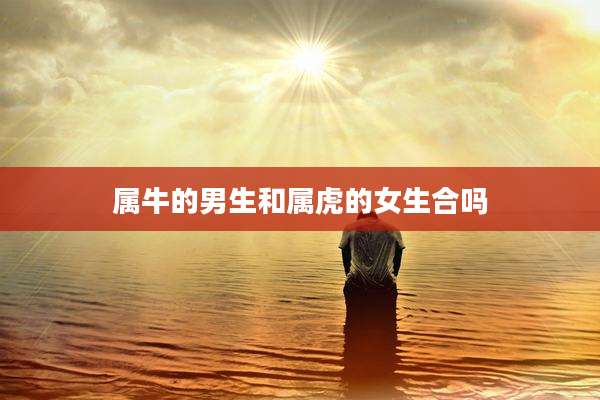 属牛的男生和属虎的女生合吗
